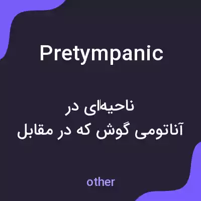 معنی pretympanic به فارسی معنی pretympanic به فارسی