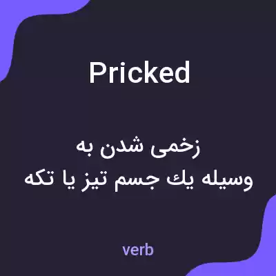 معنی pricked به فارسی معنی pricked به فارسی