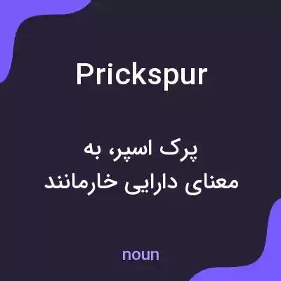 معنی prickspur به فارسی معنی prickspur به فارسی