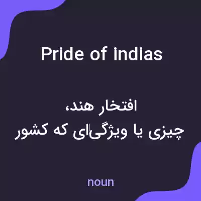 معنی pride of indias به فارسی معنی pride of indias به فارسی