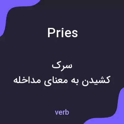 معنی pries به فارسی معنی pries به فارسی