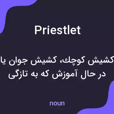 معنی priestlet به فارسی معنی priestlet به فارسی