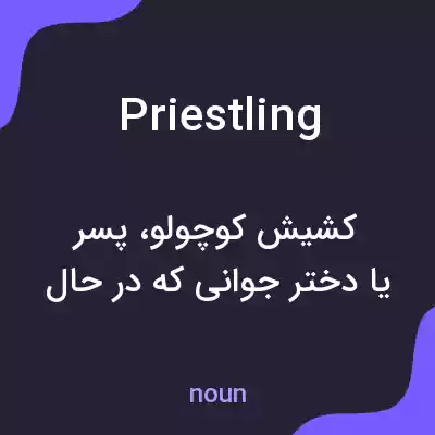 معنی priestling به فارسی معنی priestling به فارسی