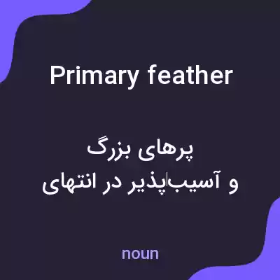 معنی primary feather به فارسی معنی primary feather به فارسی