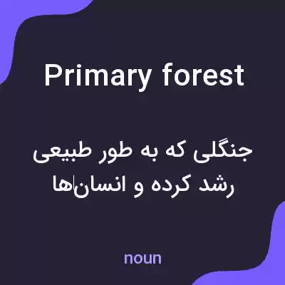معنی primary forest به فارسی معنی primary forest به فارسی