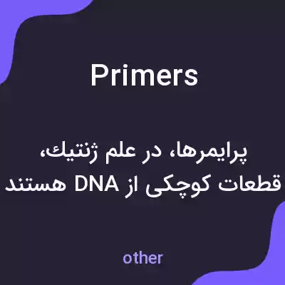 معنی primers به فارسی معنی primers به فارسی