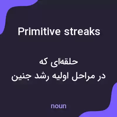 معنی primitive streaks به فارسی معنی primitive streaks به فارسی