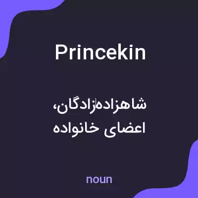 معنی princekin به فارسی