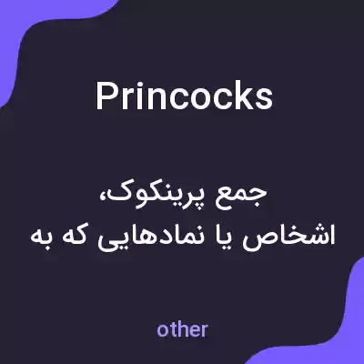 معنی princocks به فارسی معنی princocks به فارسی