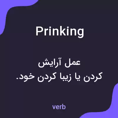 معنی prinking به فارسی معنی prinking به فارسی