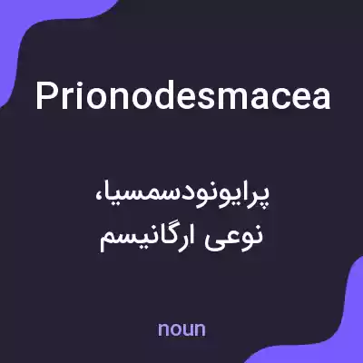 معنی prionodesmacea به فارسی معنی prionodesmacea به فارسی