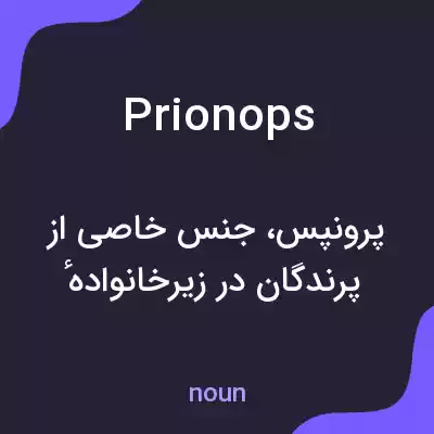 معنی prionops به فارسی معنی prionops به فارسی