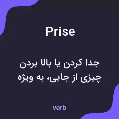 معنی prise به فارسی معنی prise به فارسی