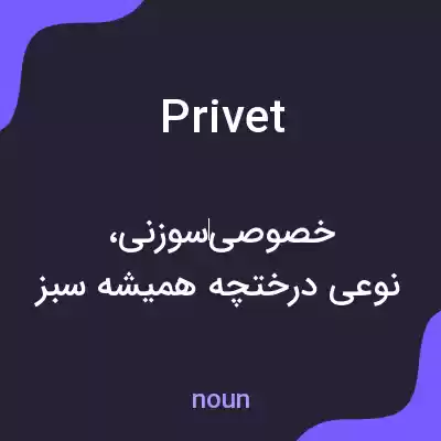 معنی privet به فارسی معنی privet به فارسی