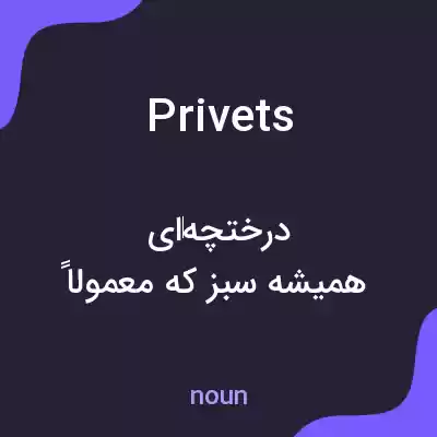 معنی privets به فارسی معنی privets به فارسی