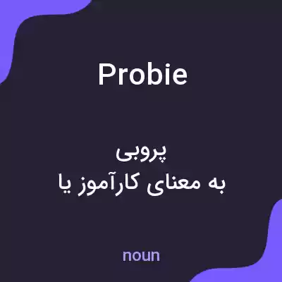 معنی probie به فارسی معنی probie به فارسی