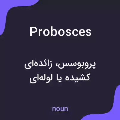 معنی probosces به فارسی معنی probosces به فارسی