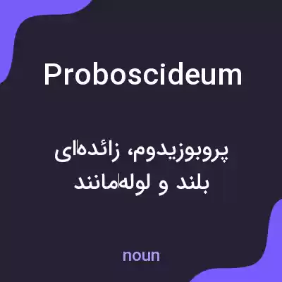 معنی proboscideum به فارسی معنی proboscideum به فارسی