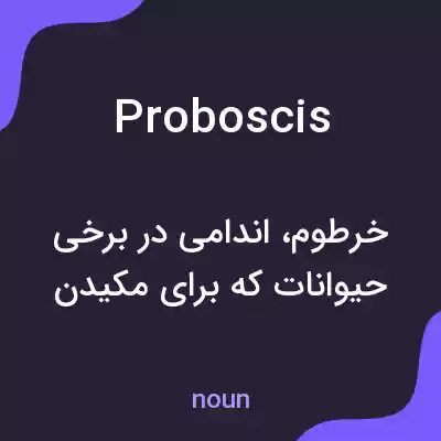 معنی proboscis به فارسی معنی proboscis به فارسی