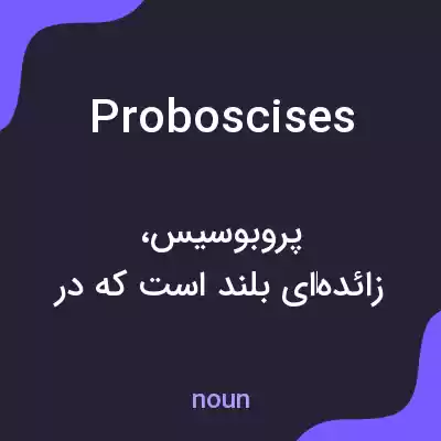 معنی proboscises به فارسی معنی proboscises به فارسی