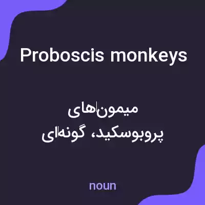 معنی proboscis monkeys به فارسی معنی proboscis monkeys به فارسی