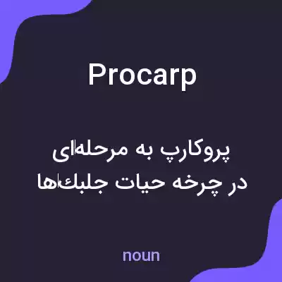 معنی procarp به فارسی معنی procarp به فارسی