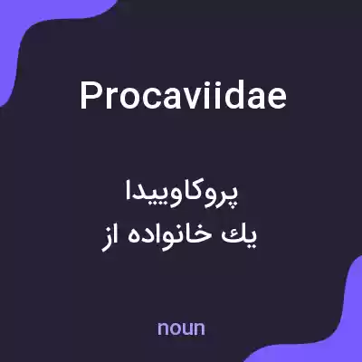 معنی procaviidae به فارسی معنی procaviidae به فارسی