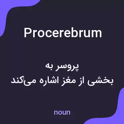 معنی procerebrum به فارسی معنی procerebrum به فارسی