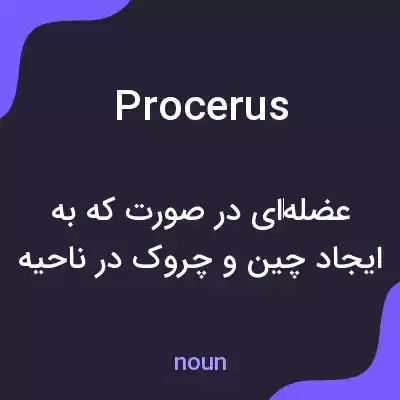 معنی procerus به فارسی معنی procerus به فارسی