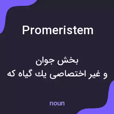 معنی promeristem به فارسی معنی promeristem به فارسی