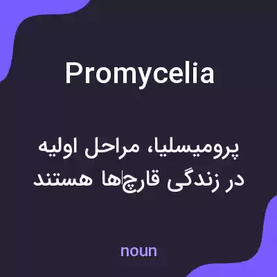 معنی promycelia به فارسی معنی promycelia به فارسی