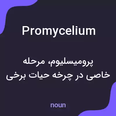 معنی promycelium به فارسی معنی promycelium به فارسی