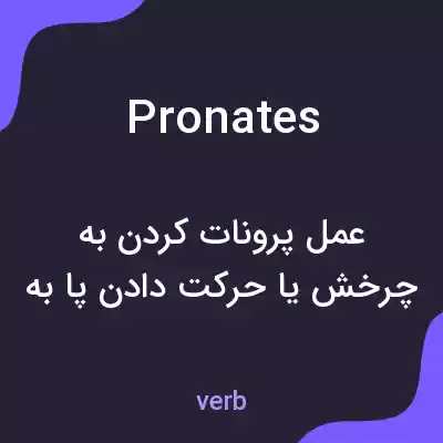 معنی pronates به فارسی معنی pronates به فارسی