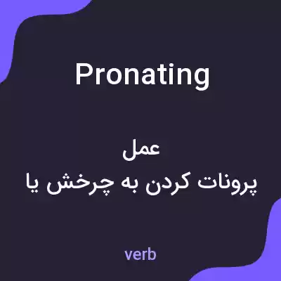 معنی pronating به فارسی معنی pronating به فارسی