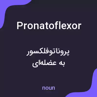 معنی pronatoflexor به فارسی معنی pronatoflexor به فارسی