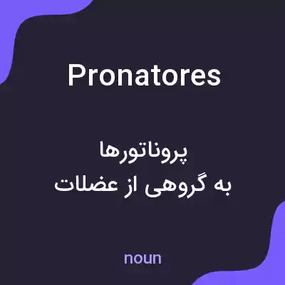 معنی pronatores به فارسی معنی pronatores به فارسی