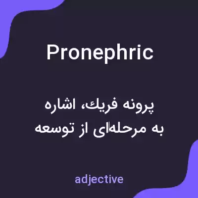 معنی pronephric به فارسی معنی pronephric به فارسی