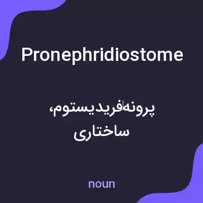 معنی pronephridiostome به فارسی معنی pronephridiostome به فارسی