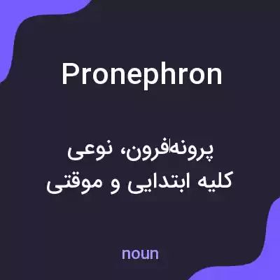 معنی pronephron به فارسی معنی pronephron به فارسی