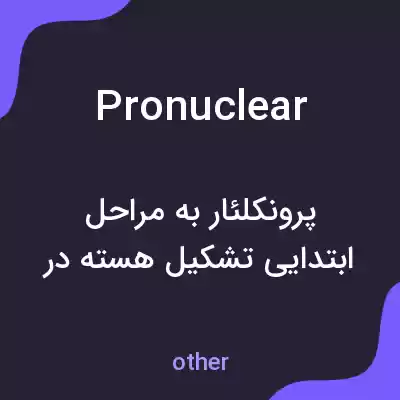 معنی pronuclear به فارسی معنی pronuclear به فارسی