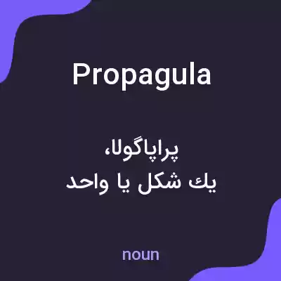 معنی propagula به فارسی معنی propagula به فارسی