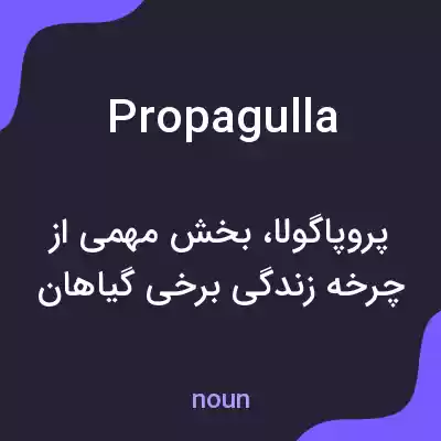 معنی propagulla به فارسی معنی propagulla به فارسی