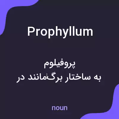 معنی prophyllum به فارسی معنی prophyllum به فارسی