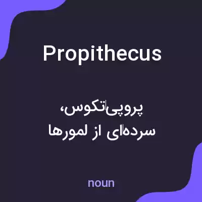 معنی propithecus به فارسی معنی propithecus به فارسی