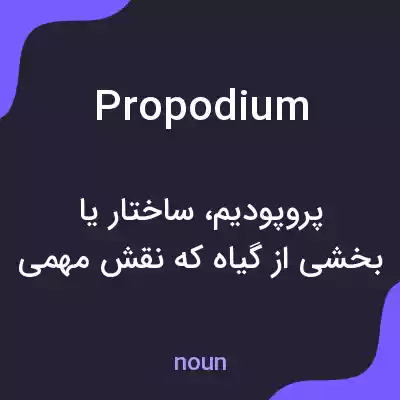 معنی propodium به فارسی