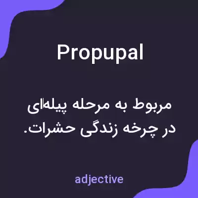 معنی propupal به فارسی معنی propupal به فارسی