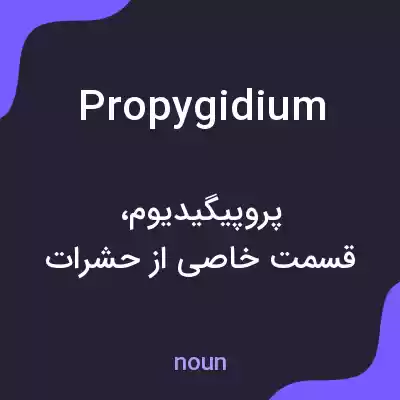 معنی propygidium به فارسی معنی propygidium به فارسی