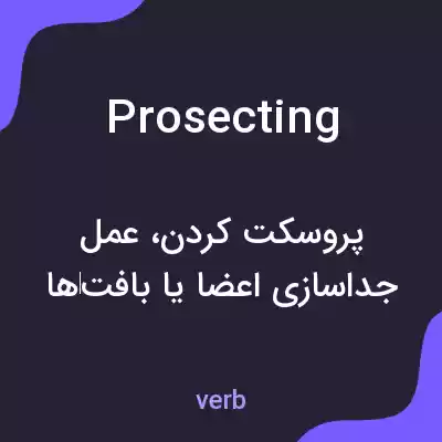 معنی prosecting به فارسی معنی prosecting به فارسی