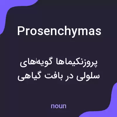 معنی prosenchymas به فارسی معنی prosenchymas به فارسی