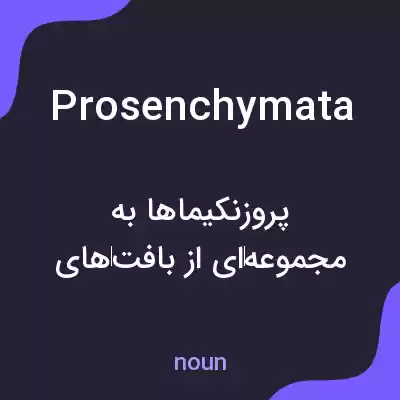 معنی prosenchymata به فارسی معنی prosenchymata به فارسی